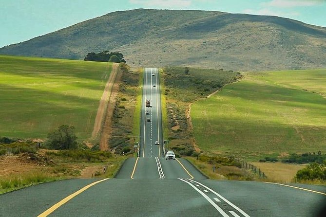 3 Day Big 5 and Bungee Tour - Garden Route Small Group Tour from Cape Town - Final Verdict: A Strong Short Trip With a Fast Pace