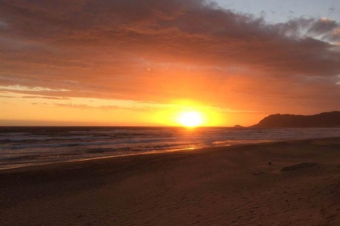 3 Day Big 5 and Bungee Tour - Garden Route Small Group Tour from Cape Town - FAQ