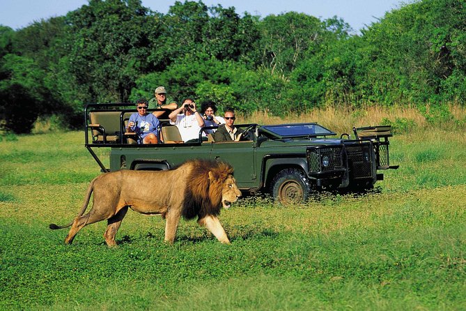 3 Day Big 5 and Bungee Tour - Garden Route Small Group Tour from Cape Town - Day Three: Cango Caves and the Road Home