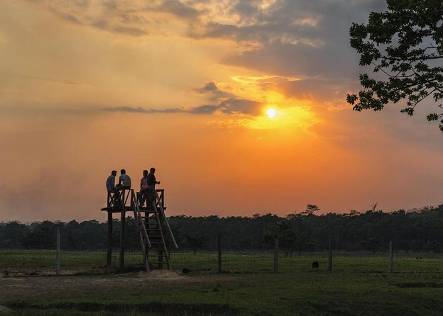 3-Day Chitwan National Park Jungle Safari Tour Package with Pick Up - Key points before you book