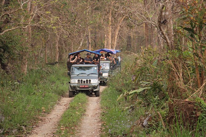 3-Day Chitwan National Park Jungle Safari Tour Package with Pick Up - Meals and the two-night resort stay
