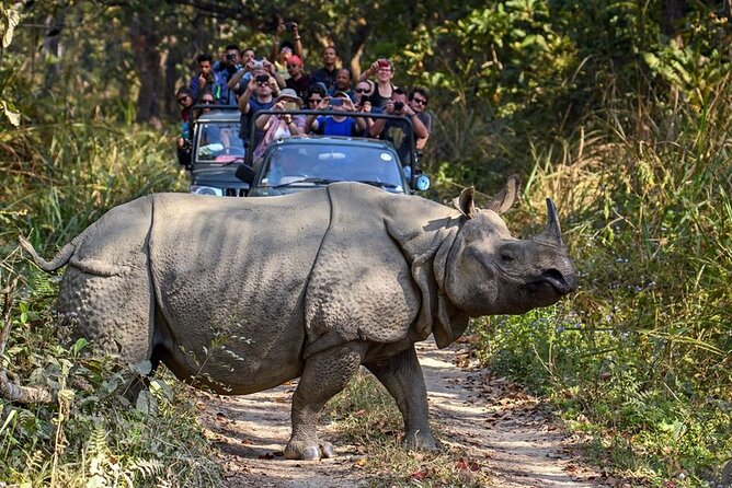 3-Day Chitwan National Park Jungle Safari Tour Package with Pick Up - How the $180 price works for you