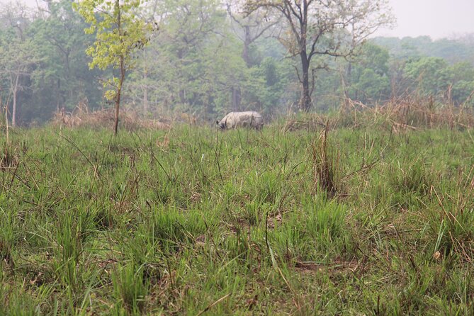 3-Day Chitwan National Park Jungle Safari Tour Package with Pick Up - Who will get the most from this Chitwan trip
