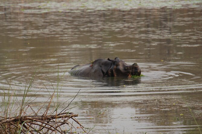 3-Day Chitwan National Park Jungle Safari Tour Package with Pick Up - Practical timing and cancellation advice