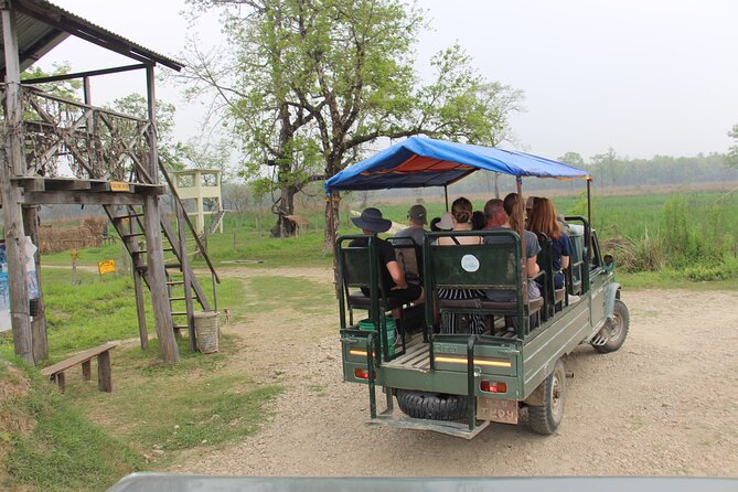 3-Day Chitwan National Park Jungle Safari Tour Package with Pick Up - Day two: canoe, crocodiles, birds, and forest walks
