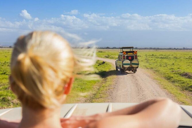 3 Day Classic, Guided Serengeti Safari - Day two: the one full day of wildlife watching
