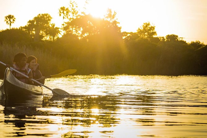 3 Day Garden Route Highlights and Safari with Private Transfers - A big Garden Route sampler in only three days