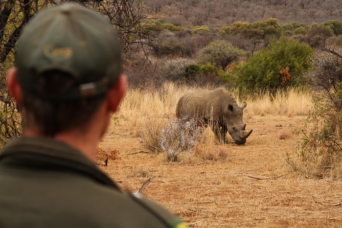 3 Day Garden Route Highlights and Safari with Private Transfers - Accommodation, meals, and extra costs