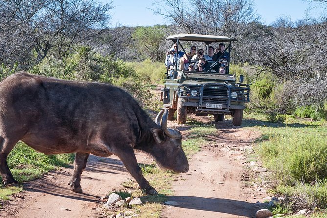 3 Day Garden Route Highlights and Safari with Private Transfers - Should you book it?
