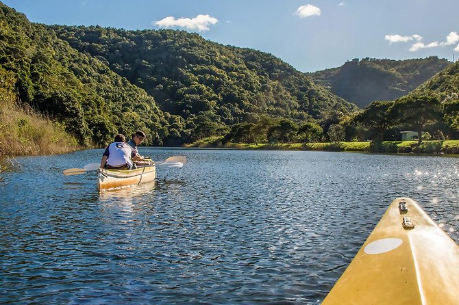 3 Day Garden Route's Best Highlights with Safari from Cape Town - Bloukrans Bridge: jump, watch, or walk