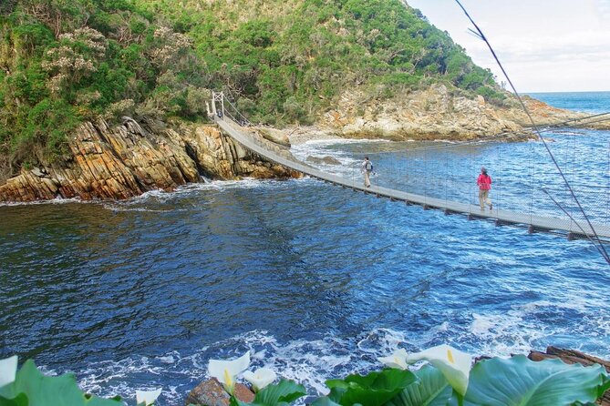 3 Day Garden Route's Best Highlights with Safari from Cape Town - Day one: Route 62 and the Cango Caves