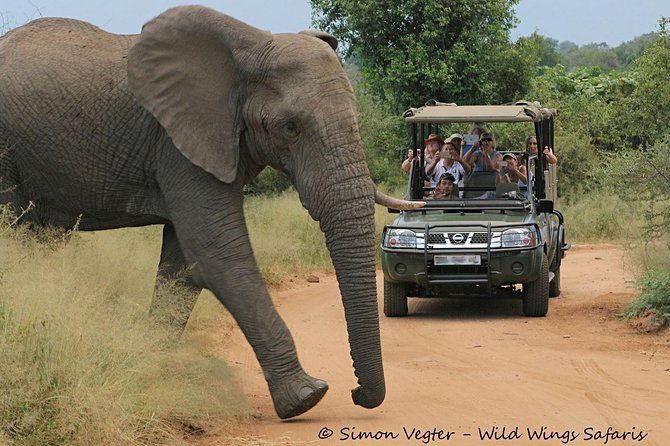 3-Day Kruger National Park Open Vehicle Safari - Why this three-day Kruger safari works