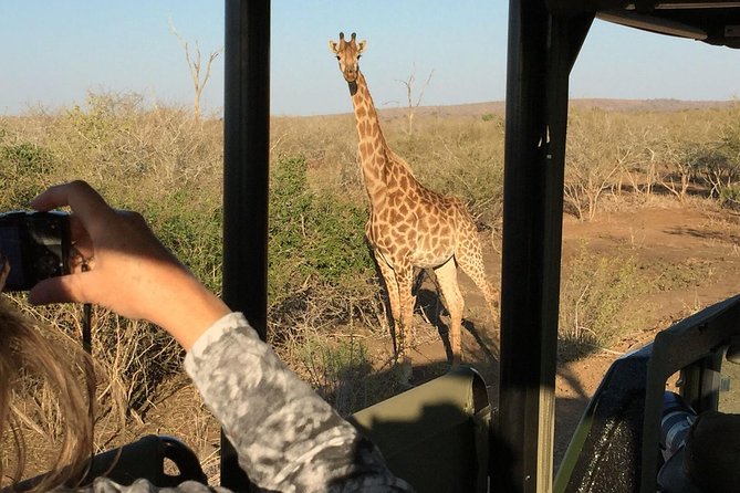 3-Day Kruger National Park Open Vehicle Safari - Day one: entering Kruger and starting the search
