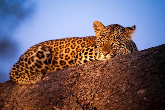3-Day Safari Tour in two National Parks - Two parks that feel genuinely different