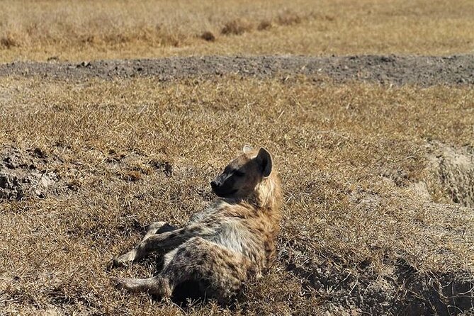 3-Day Safari Tour in two National Parks - Day one: from Diani Beach to Tsavo East
