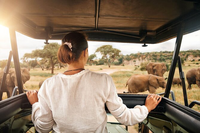 3-Day Tarangire, Ngorongoro and Lake Manyara Camping Safari - What the private vehicle changes