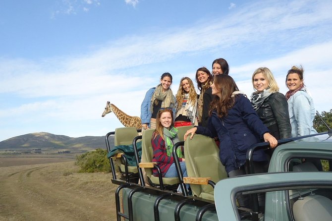 3 Day Wildlife Safari Tour - Garden Route Small Group Tour from Cape Town - Why this three-day route works