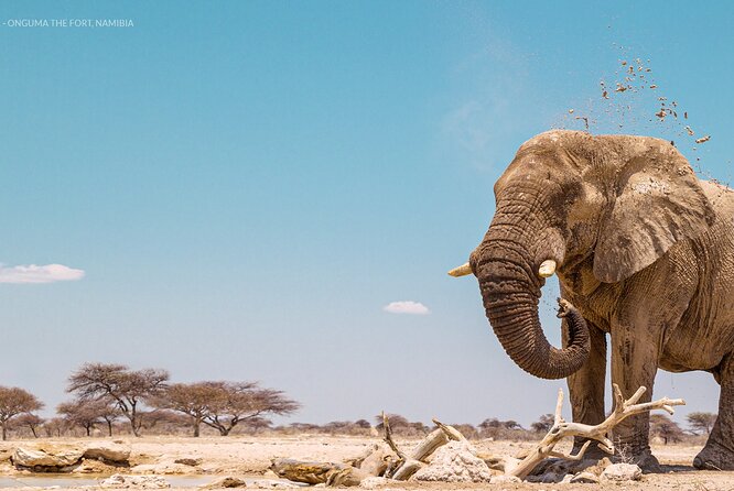 3 Days 2 Nights Group Joining Serengeti and Ngorogoro Safari - The vehicle, guide, and small-group setup