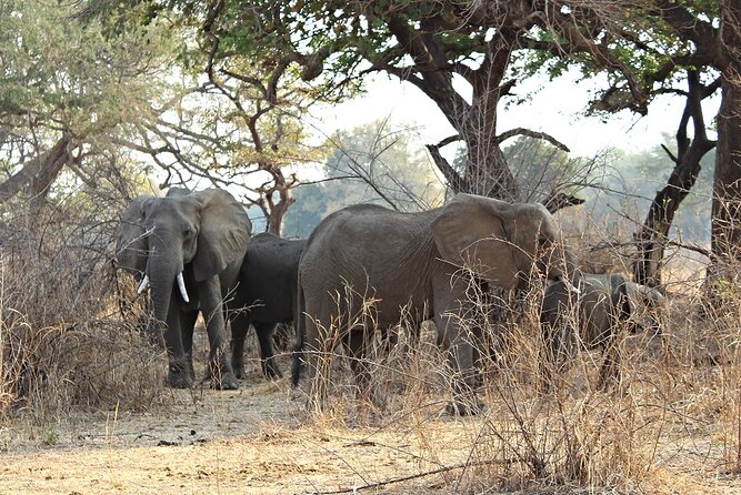 3 Days 2 Nights Group Joining Serengeti and Ngorogoro Safari - Meals and sleeping arrangements