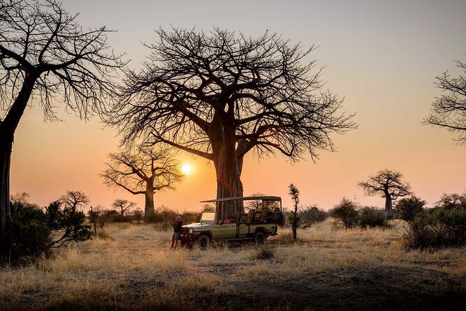 3 Days 2 Nights Group Joining Serengeti and Ngorogoro Safari - Who should book this safari?