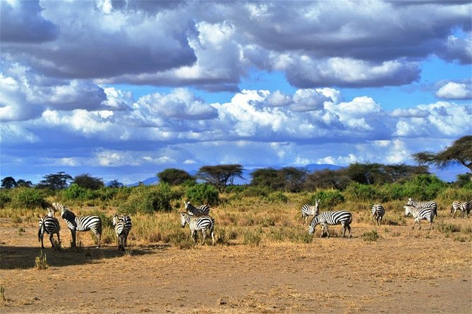3 Days, 2 Nights Safari - Amboseli National Park and Tsavo West Adventure Safari - From Diani to Tsavo West before breakfast