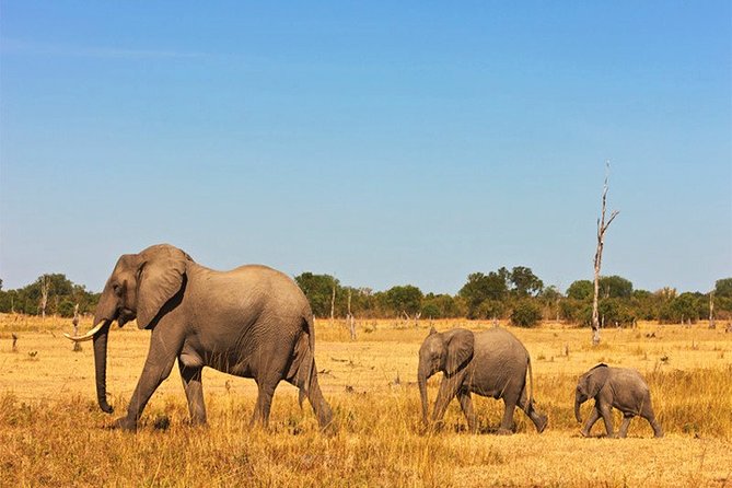3 Days, 2 Nights Safari - Amboseli National Park and Tsavo West Adventure Safari - Amboseli and the first Kilimanjaro view