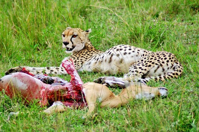 3 Days, 2 Nights Safari - Amboseli National Park and Tsavo West Adventure Safari - What the $845 price covers