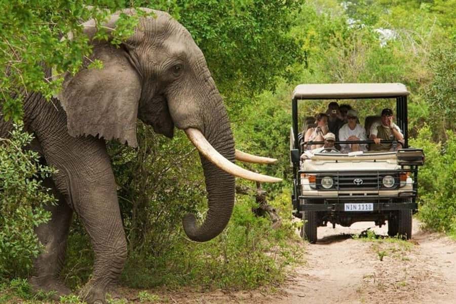 3 DAYS, 2 NIGHTS SAFARI FROM ZANZIBAR TO MIKUMI BY FERRY. - The Maasai village visit adds needed balance