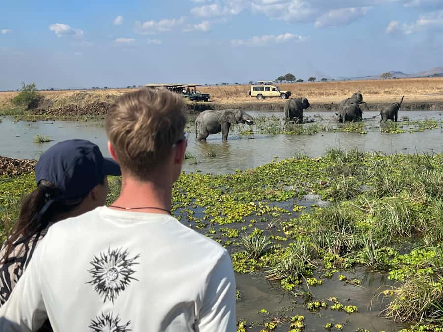3 DAYS, 2 NIGHTS SAFARI FROM ZANZIBAR TO MIKUMI BY FERRY. - Who should choose this safari