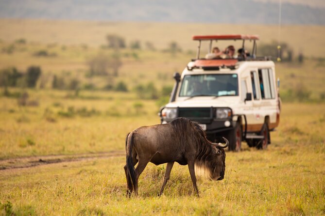 3 days fly in safari - FAQ