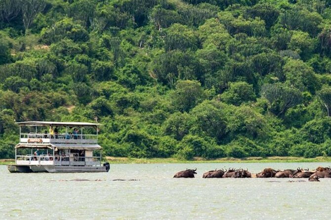 3 Days gorilla trekking Safari tour in Uganda - What the $2,600 price really covers