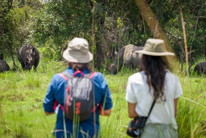 3 Days gorilla trekking Safari tour in Uganda - Day 2: tracking mountain gorillas in Bwindi