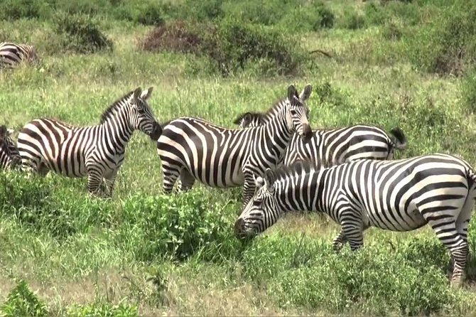 3 days group joining safari to Maasai Mara with a Land Cruiser Jeep - Why three days works better in the Maasai Mara