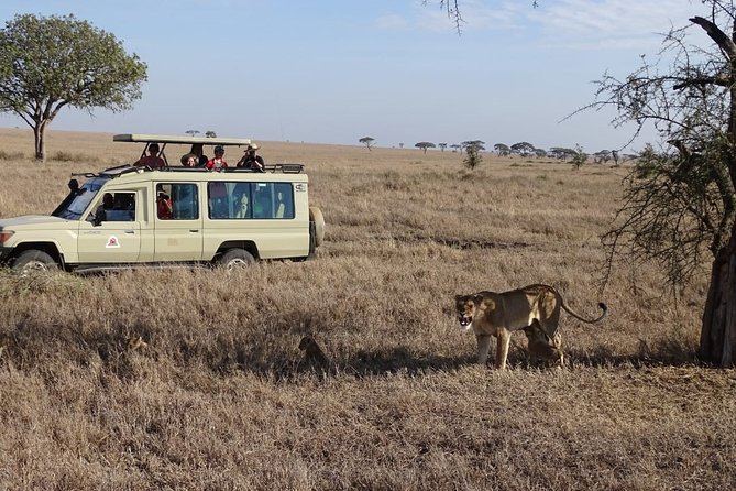 3 days group joining safari to Maasai Mara with a Land Cruiser Jeep - What the tented camps are really like