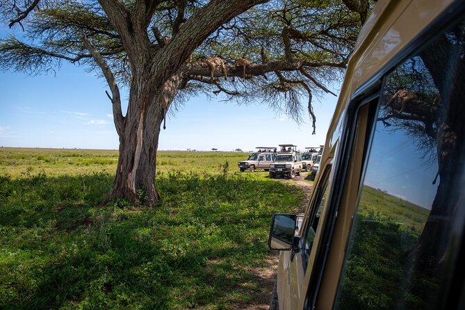3 Days Group Safari Serengeti & Ngorongoro - Key points at a glance