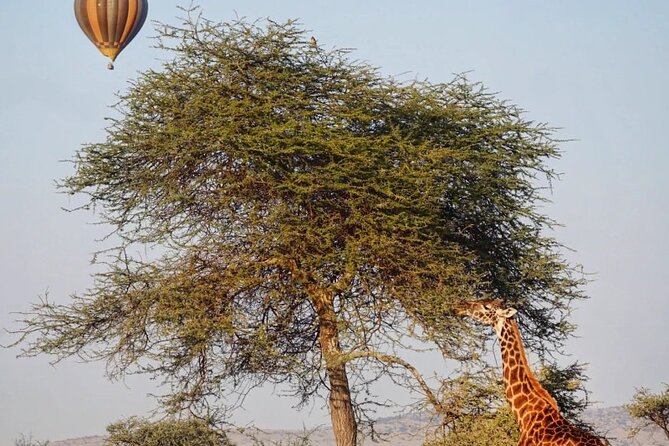 3 Days Group Safari Serengeti & Ngorongoro - Day one: From Arusha to the central Serengeti