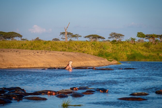 3 Days Group Safari Serengeti & Ngorongoro - Camping, food, and what to pack