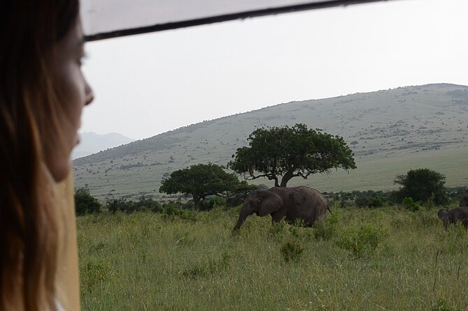 3 days Masai Mara on Private 4x4 Land Cruiser - Accommodation choices and what they mean