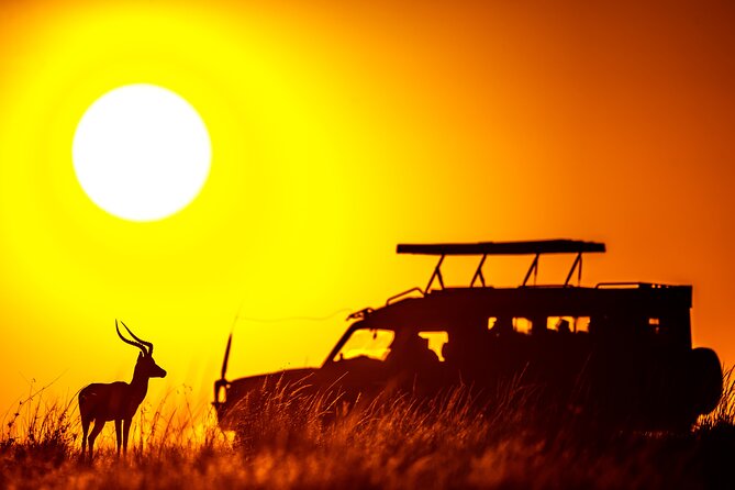 3 days Masai Mara on Private 4x4 Land Cruiser - What the feedback tells you about the service