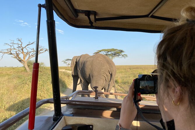 3 Days Private Budget Safari to Tarangire and Ngorongoro Crater - Arrival in Arusha and the first night