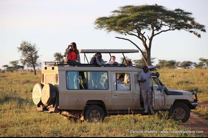 3 Days Safari Ngorongoro Crater and Serengeti National Park - Camping, food, and daily comfort