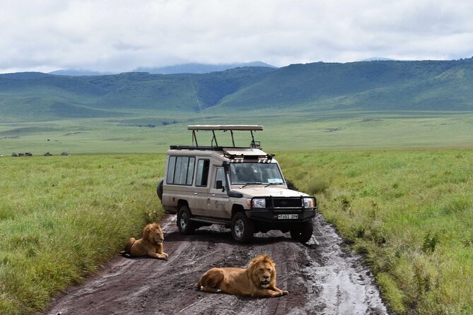 3 Days Safari Ngorongoro Crater and Serengeti National Park - Group size and the vehicle experience