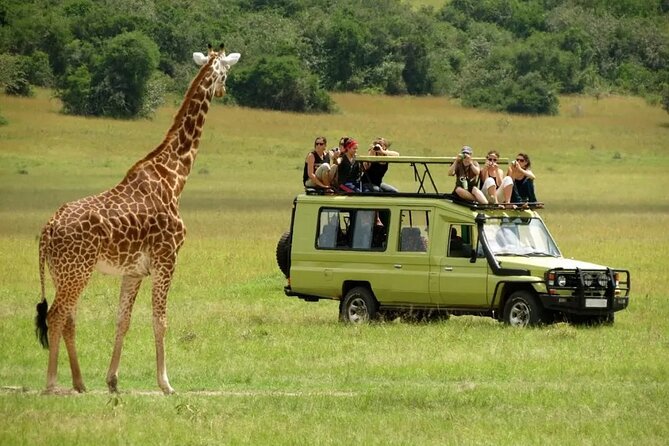 3 Days Safari Ngorongoro Crater and Serengeti National Park - The main value of the $810 price