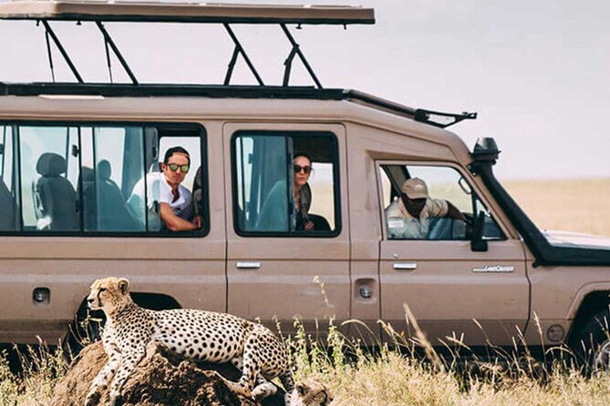 3 Days Safari Ngorongoro Crater and Serengeti National Park - Who should book this safari