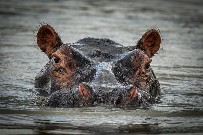 3 Days Safari - Selous Game Reserve - Why this short Selous safari works