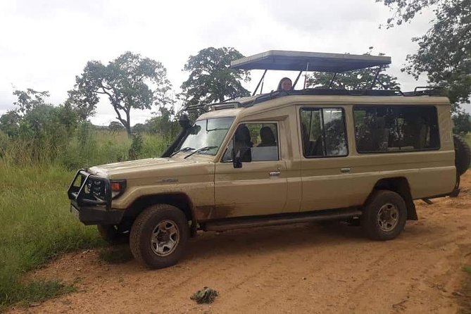 3 Days Safari - Selous Game Reserve - Who should book this safari
