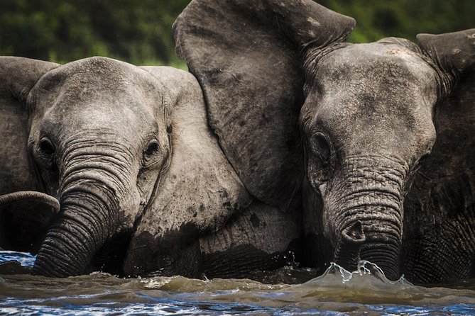 3 Days Safari - Selous Game Reserve - The road from Dar es Salaam to Selous