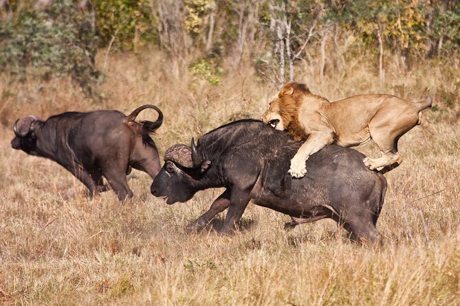 3 Days Safari Serengeti & Ngorongoro Crater - Two parks, one fast-moving safari