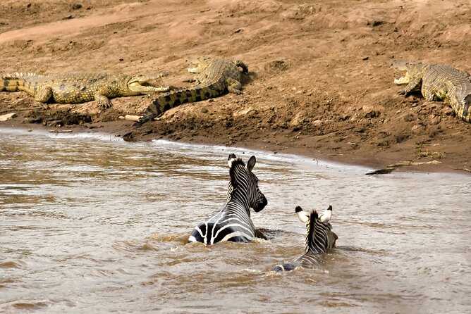3 Days Safari Serengeti & Ngorongoro Crater - Day 3: Black rhino country in Ngorongoro Crater