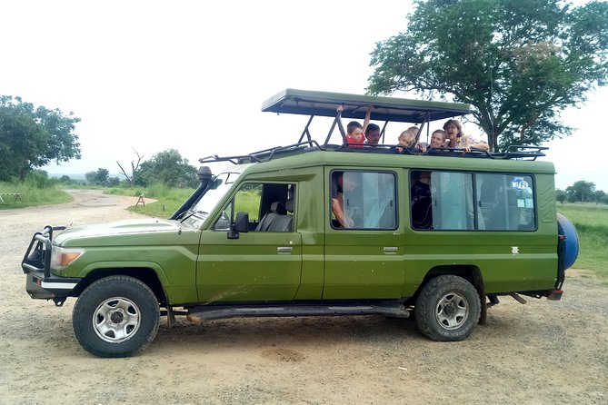 3 Days Safari to Mikumi NP - Accommodation Inside the Park - The guide can shape the whole experience